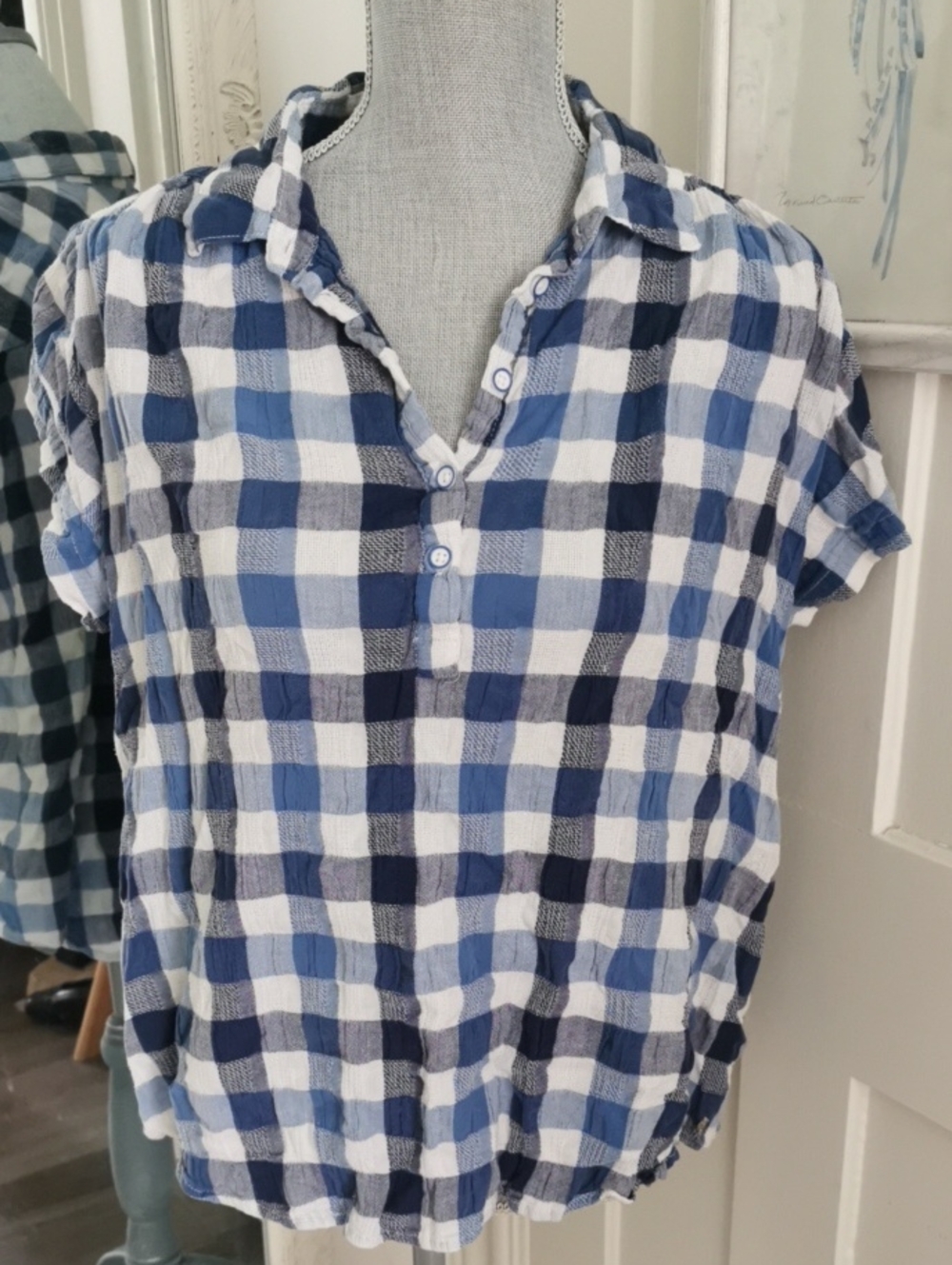 Womens Northern Reflection Buffalo Blue Plaid  Picnic ShortSleeve Shirt. L